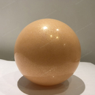 bola feita sob encomenda da aptidão do Gym do corpo de Logo Printed Pilates Balance Training da bola da ioga de 25cm