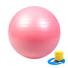 bola Eco-amigável da aptidão do exercício do equilíbrio da explosão e do não-deslizamento do pvc da bola da ioga de 65cm anti
