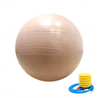 bola feita sob encomenda da ioga do Gym do exercício do PVC de 55cm 65cm 75cm com bomba de ar