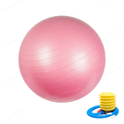 Bola do exercício (45cm-75cm), cadeira da bola da ioga com bomba rápida, bola da aptidão da estabilidade para o treinamento da força do núcleo &amp; exame